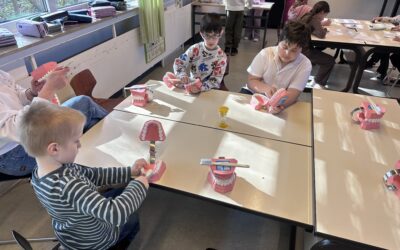 Projekt Zahngesundheit