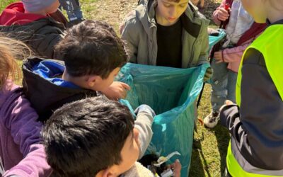 Aktion „saubere Landschaft“