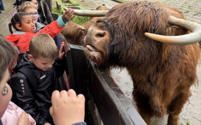 Ausflug der Klassen 2a und 2b in den Tierpark Olderdissen