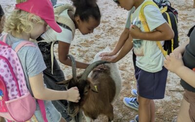Ausflug in den Tierpark Olderdissen des 1., 3. und 4. Jahrgangs